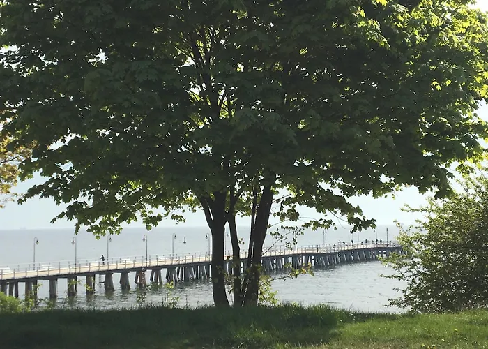 Luff Legionow * Gdynia