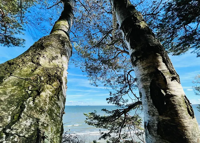 Apartment Luff Legionow