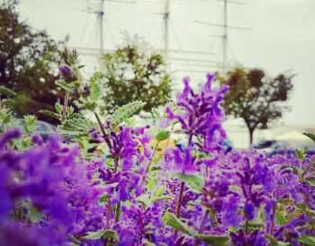 Luff Legionow Apartment *